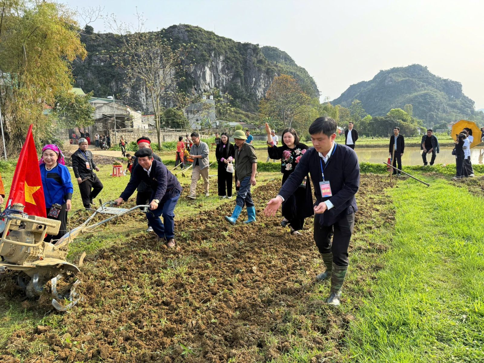 Có thể là hình ảnh về cỏ